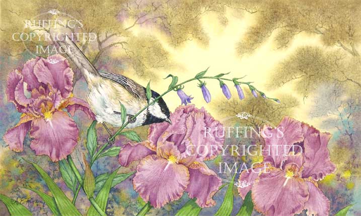 "Chickadee, Iris, and Creeping Bellflower" AER4 by A E Ruffing Bird and Flower