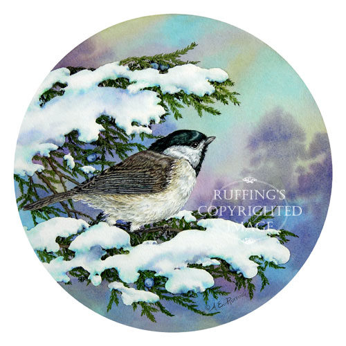 "Carolina Chickadee and Eastern Red Cedar" AER76 by A E Ruffing