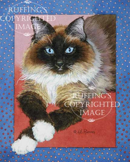 "Patiently Waiting" AER82 by A E Ruffing Ragdoll Cat