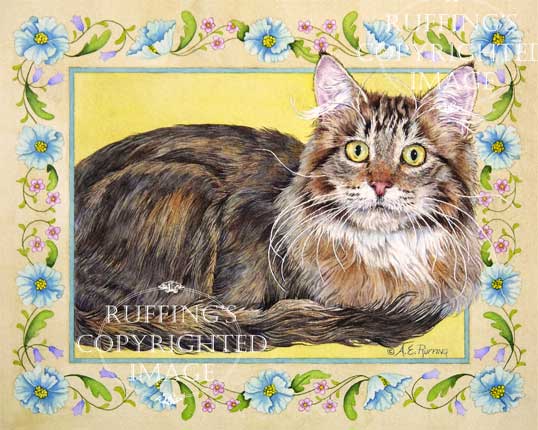 "Gentle Giant" AER96 by A E Ruffing Maine Coon Cat