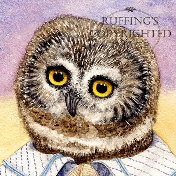 "Henry the Owl" Detail ER35 by Elizabeth Ruffing Northern Saw-whet Owl