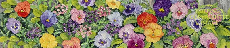 Detail "Window Box With Pansies" by Elizabeth Ruffing