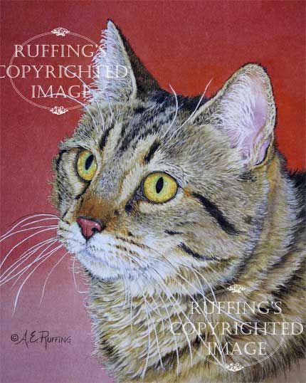 "Tabby Cat on Red" AER81 by A E Ruffing Tabby Cat