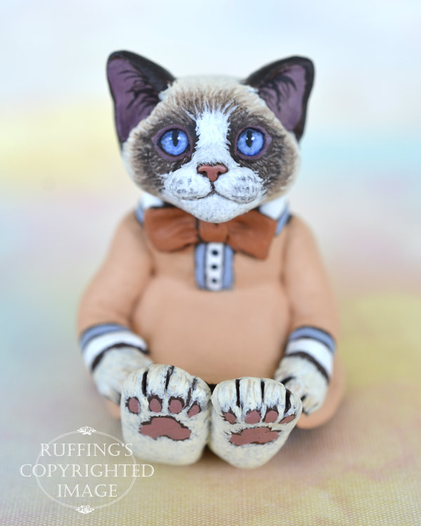 Becka, miniature bi-color Ragdoll cat art doll, handmade original, one-of-a-kind kitten by artist Max Bailey