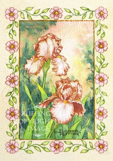 "Peach Iris" ER25 by Elizabeth Ruffing Floral Original Watercolor Painting