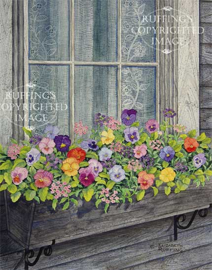 "Window Box with Pansies" ER9 by Elizabeth Ruffing Floral