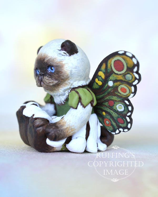 Fern, miniature Himalayan fairy cat art doll, handmade original, one-of-a-kind kitten by artist Max Bailey