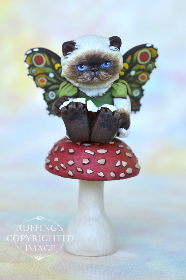 Fern, miniature Himalayan fairy cat art doll, handmade original, one-of-a-kind kitten by artist Max Bailey