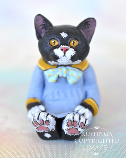 Jonquil, miniature black-and-white tuxedo cat art doll, handmade original, one-of-a-kind kitten by artist Max Bailey