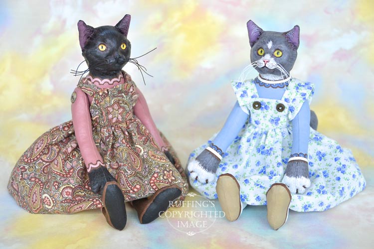 cats and dolls