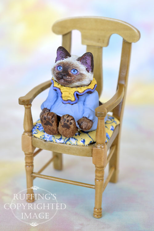Paula, miniature Ragdoll cat art doll, handmade original, one-of-a-kind kitten by artist Max Bailey