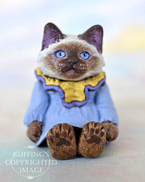 Paula, miniature Ragdoll cat art doll, handmade original, one-of-a-kind kitten by artist Max Bailey