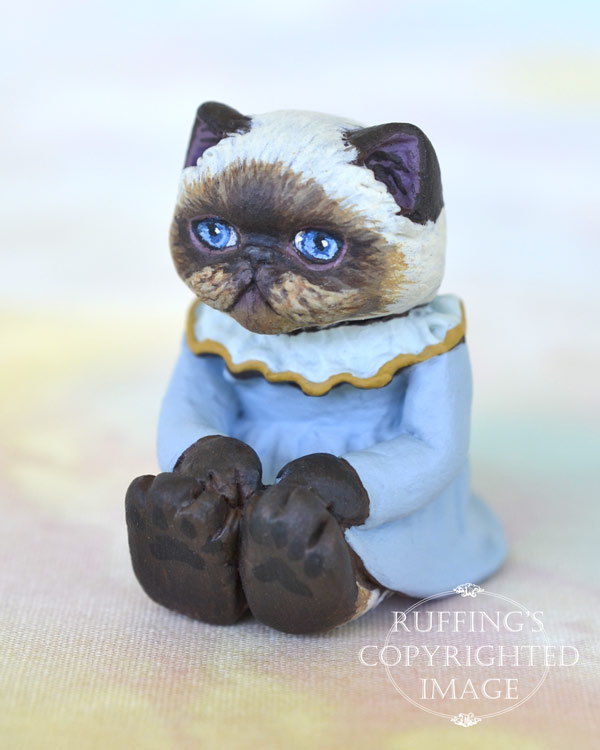 Miniature best sale himalayan cat