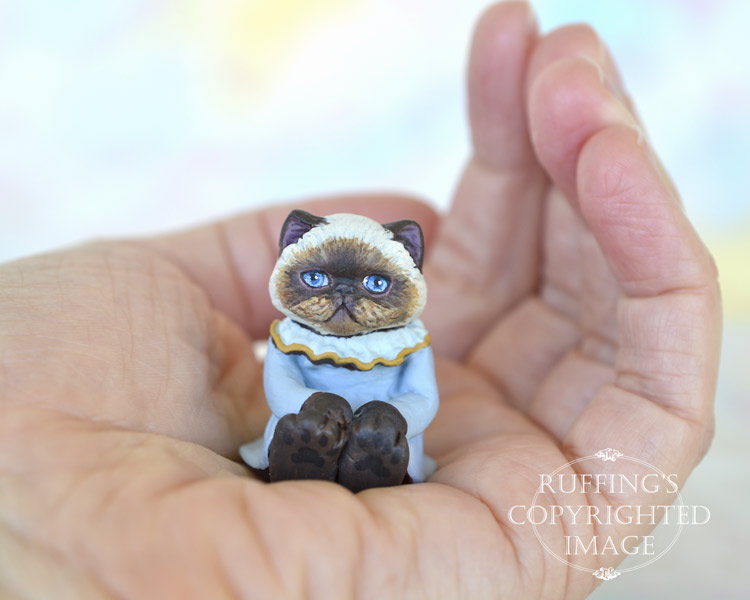 Pearl, miniature Himalayan cat art doll, handmade original, one-of-a-kind kitten by artist Max Bailey