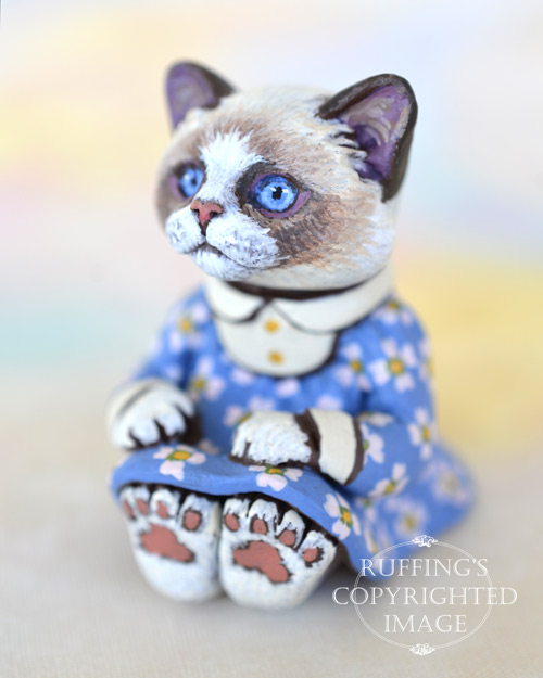 Primrose, miniature bi-color Ragdoll cat art doll, handmade original, one-of-a-kind kitten by artist Max Bailey