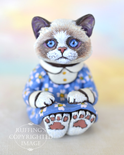 Primrose, miniature bi-color Ragdoll cat art doll, handmade original, one-of-a-kind kitten by artist Max Bailey