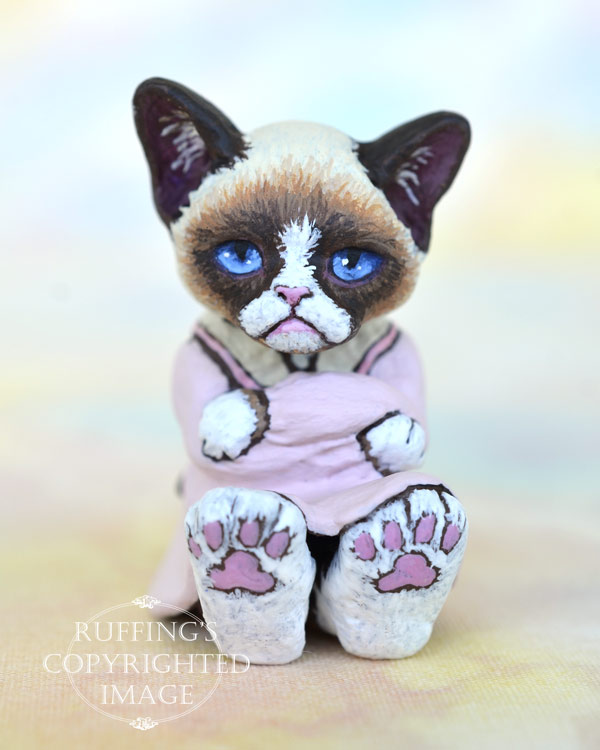 Sweetie, miniature bi-color Ragdoll mix, cat art doll, handmade original, one-of-a-kind kitten by artist Max Bailey