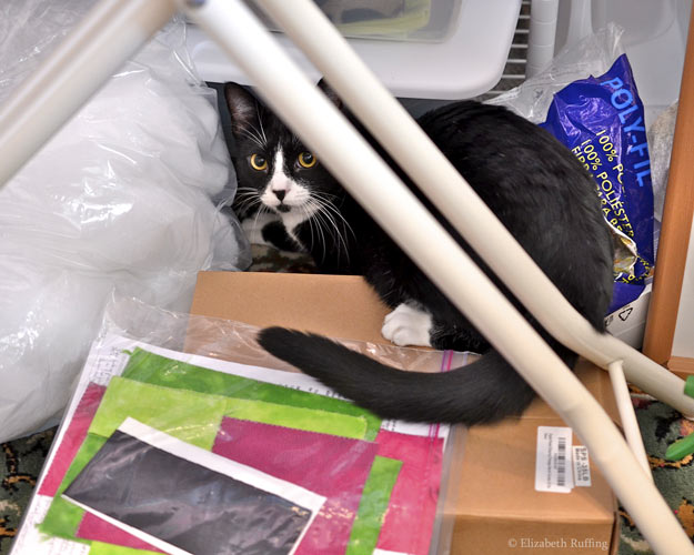 Jojo, black-and-white tuxedo cat peeking out from a pile of craft supplies, in artist Elizabeth Ruffing's workroom