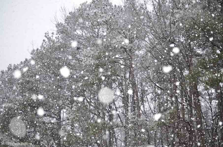 Snowflakes coming down by Elizabeth Ruffing