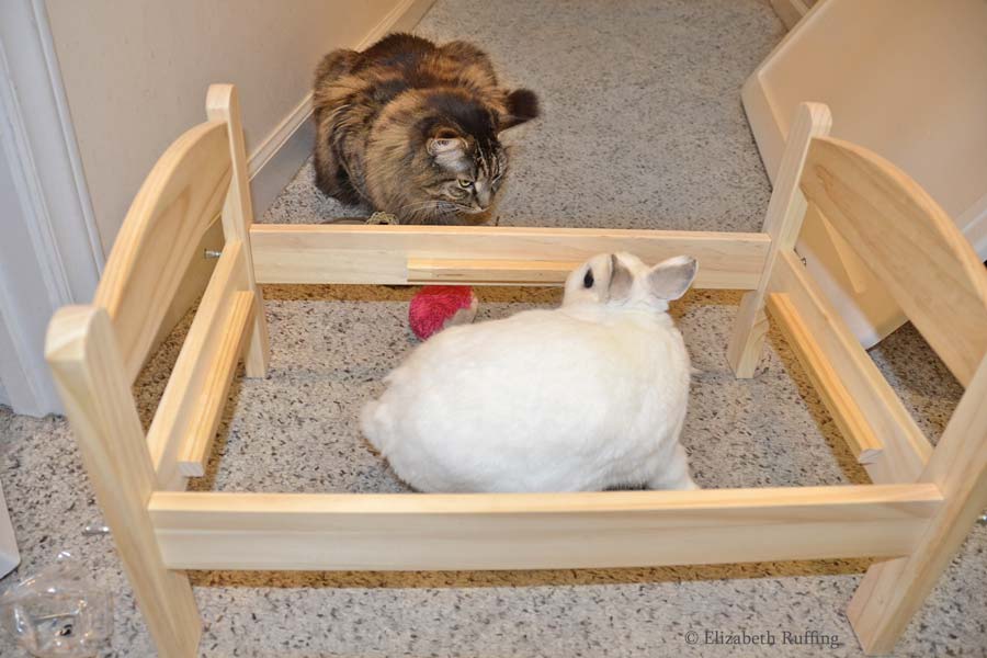 Oliver Bunny helping assemble his IKEA doll bed, by Elizabeth Ruffing