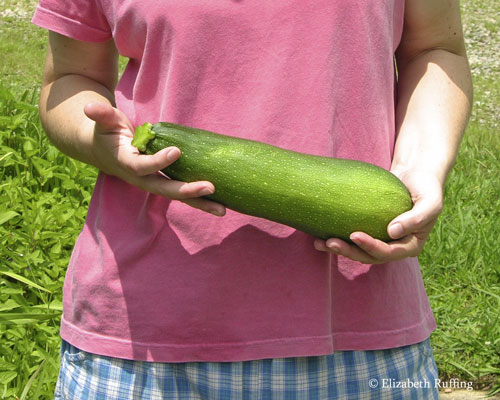 I have a zucchini