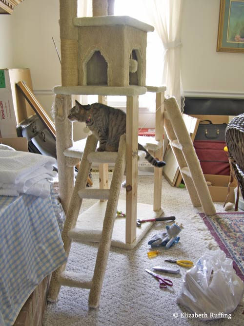 Kitty investigates cat gym reupholstering project