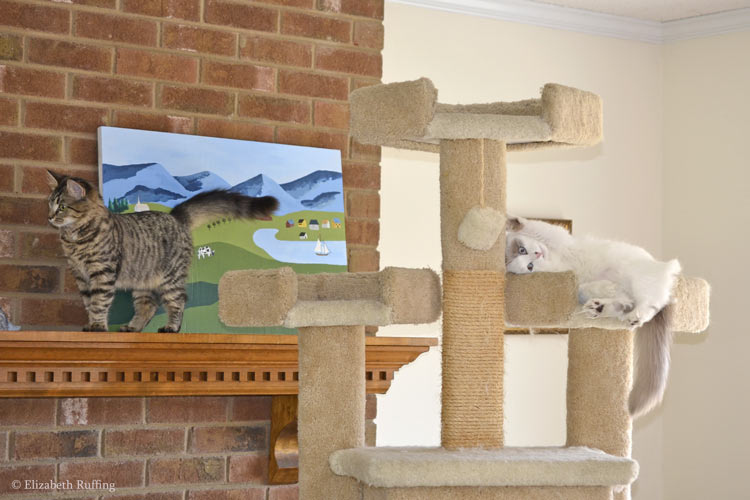 Tabby kittens at play, Phoebe exploring the mantle, with Josephine on the cat gym, photo by Elizabeth Ruffing