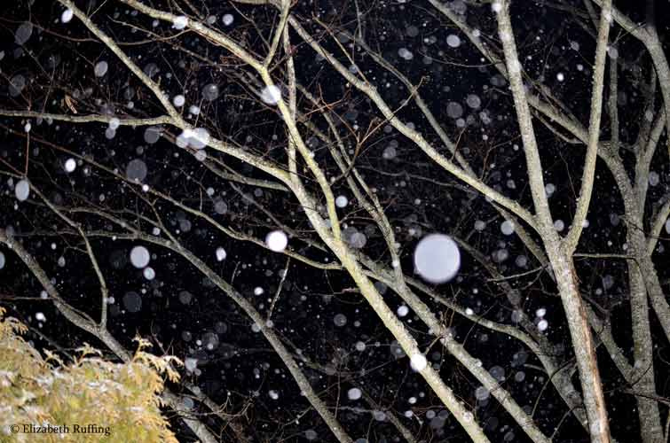 Our only snowfall this year, at night, by Elizabeth Ruffing