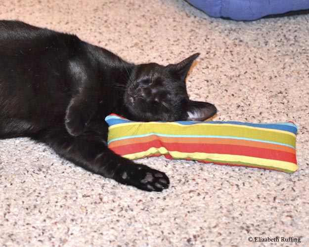 Black kitty cat playing with a catnip kicker toy, by Elizabeth Ruffing