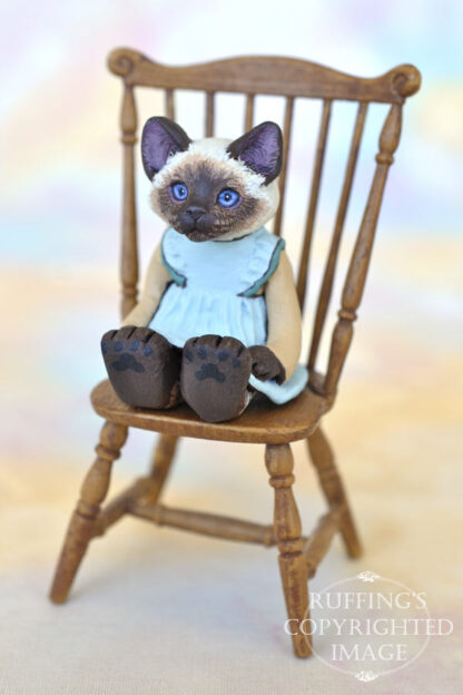 Ragdoll kitten in a blue pinafore with green trim